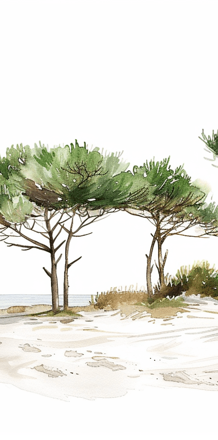Les Pins de la Plage - Illulart: Papier peint panoramique