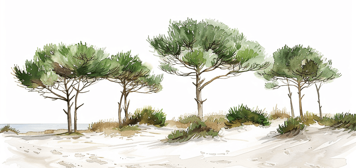 Les Pins de la Plage - Illulart: Papier peint panoramique
