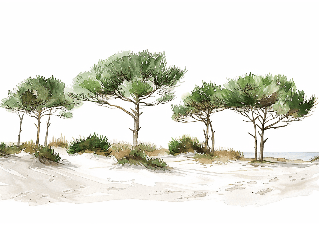 Les Pins de la Plage - Illulart: Papier peint panoramique
