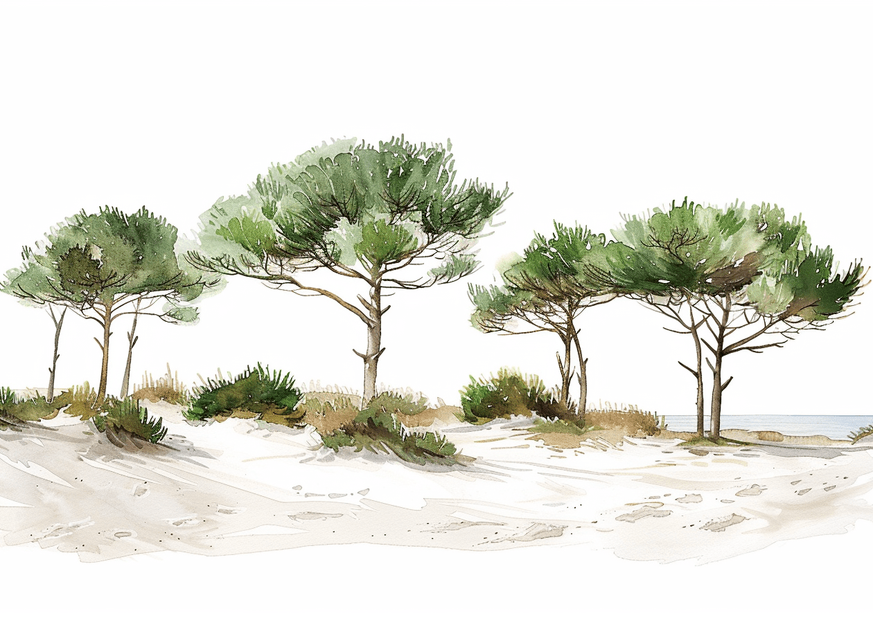 Les Pins de la Plage - Illulart: Papier peint panoramique