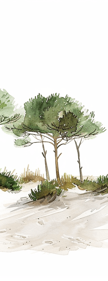 Les Pins de la Plage - Illulart: Papier peint panoramique