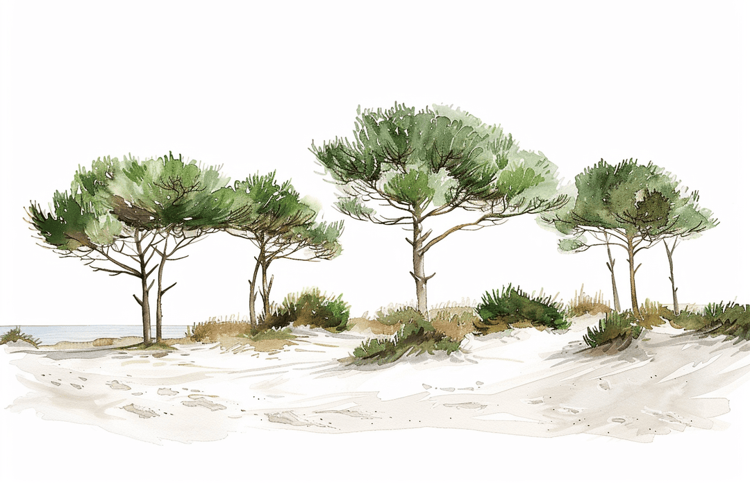Les Pins de la Plage - Illulart: Papier peint panoramique