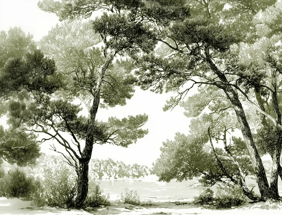 Les pins du lac - Papier peint panoramique forêt en nuances de vert - Illulart: Papier peint panoramique