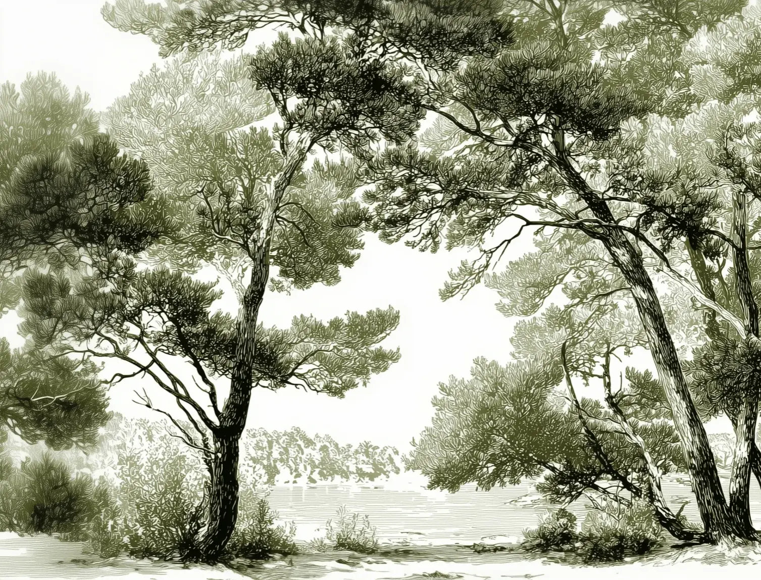 Les pins du lac - Papier peint panoramique forêt en nuances de vert - Illulart: Papier peint panoramique