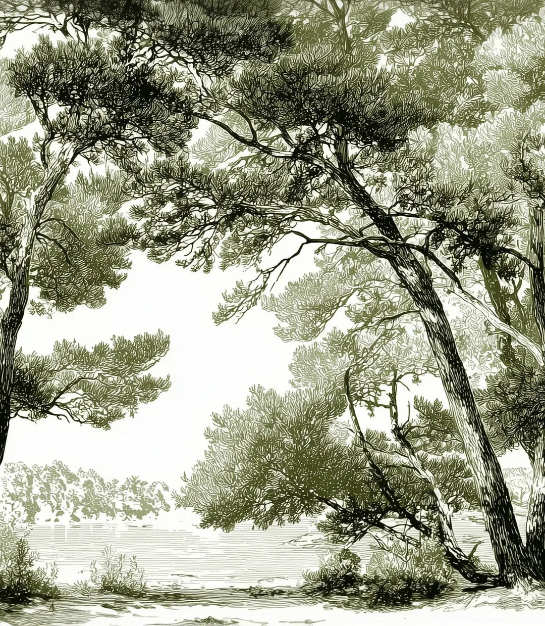Les pins du lac - Papier peint panoramique forêt en nuances de vert - Illulart: Papier peint panoramique