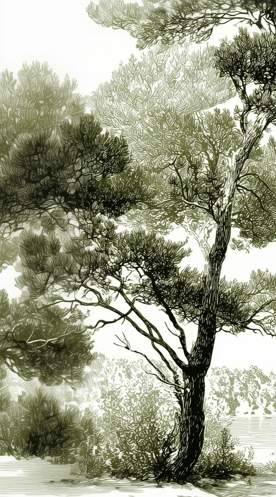 Les pins du lac - Papier peint panoramique forêt en nuances de vert - Illulart: Papier peint panoramique