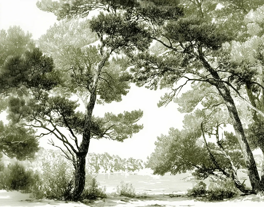 Les pins du lac - Papier peint panoramique forêt en nuances de vert - Illulart: Papier peint panoramique