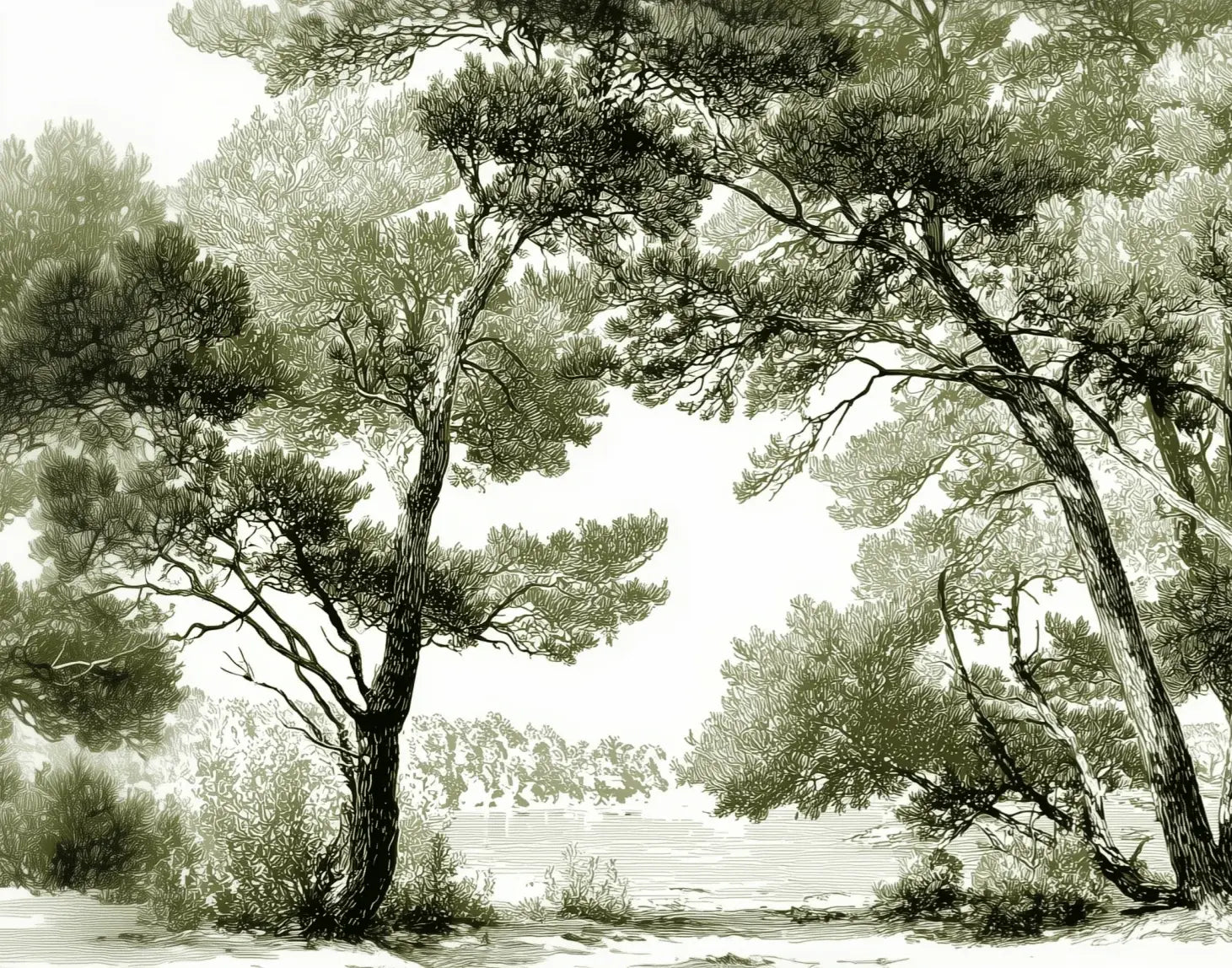 Les pins du lac - Papier peint panoramique forêt en nuances de vert - Illulart: Papier peint panoramique