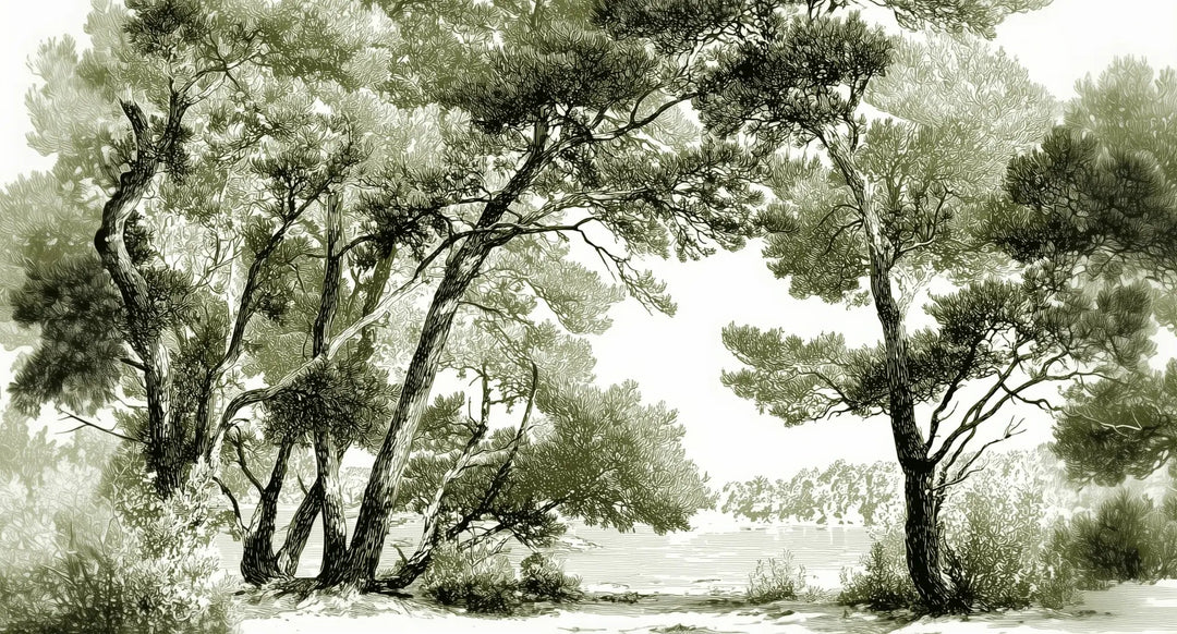 Les pins du lac - Papier peint panoramique forêt en nuances de vert - Illulart: Papier peint panoramique