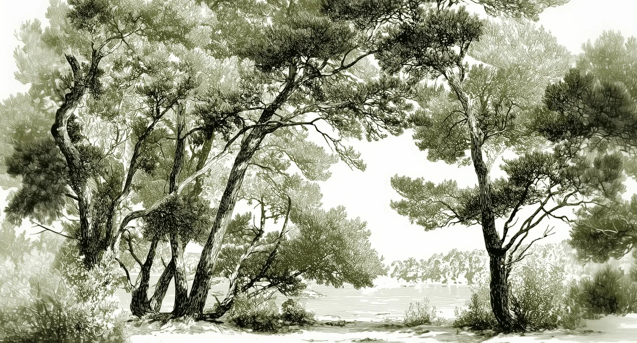 Les pins du lac - Papier peint panoramique forêt en nuances de vert - Illulart: Papier peint panoramique