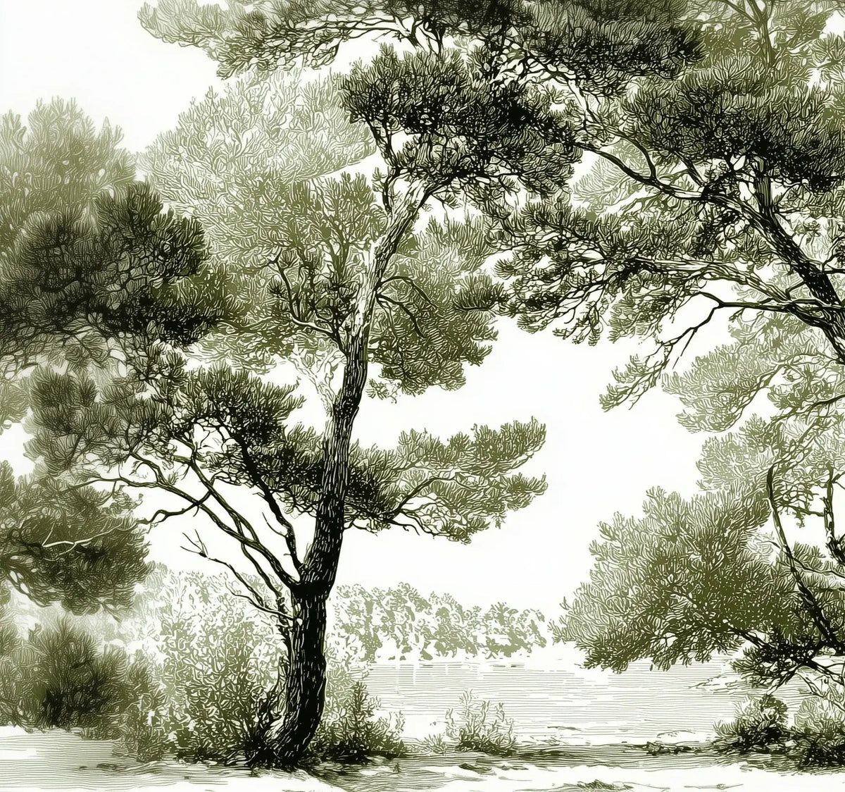 Les pins du lac - Papier peint panoramique forêt en nuances de vert - Illulart: Papier peint panoramique