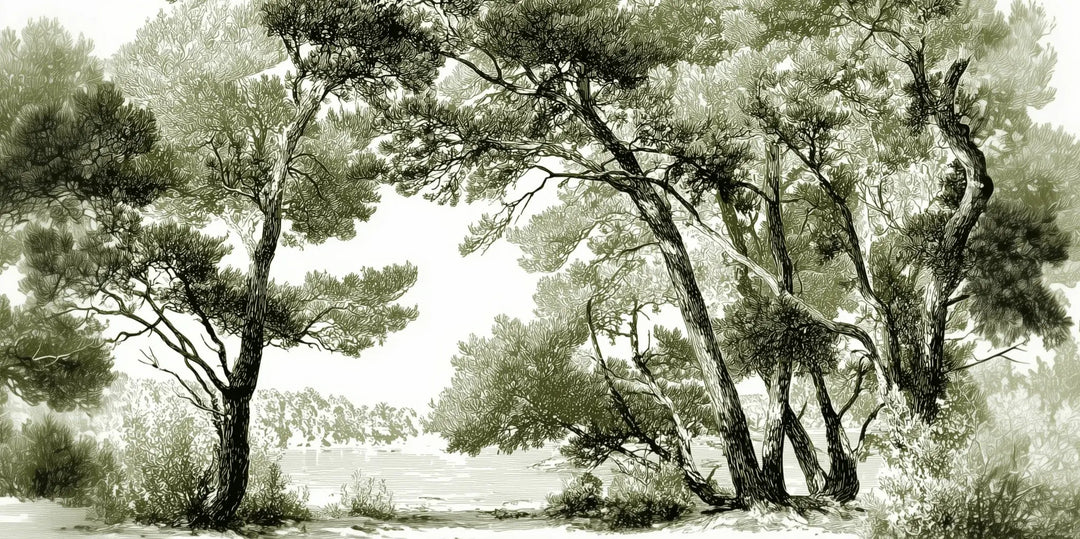 Les pins du lac - Papier peint panoramique forêt en nuances de vert - Illulart: Papier peint panoramique