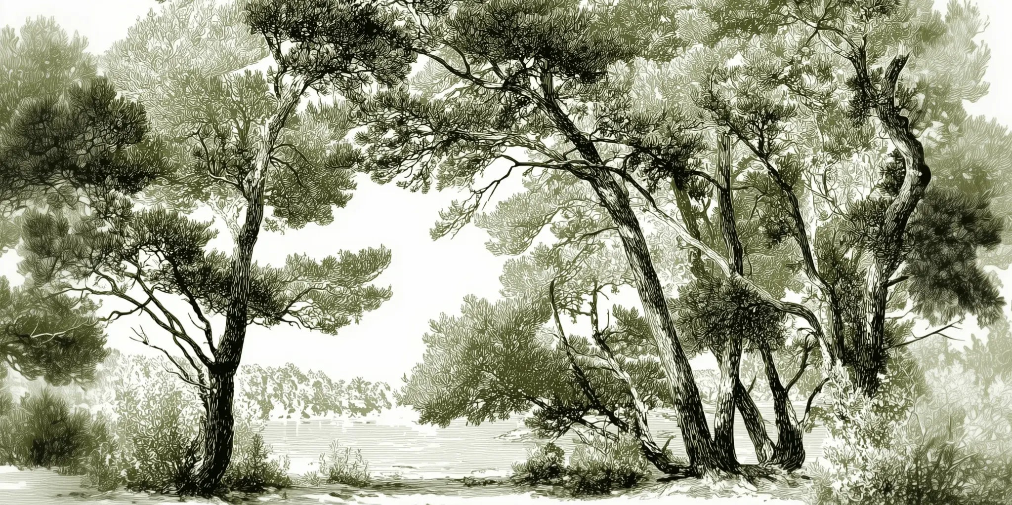 Les pins du lac - Papier peint panoramique forêt en nuances de vert - Illulart: Papier peint panoramique