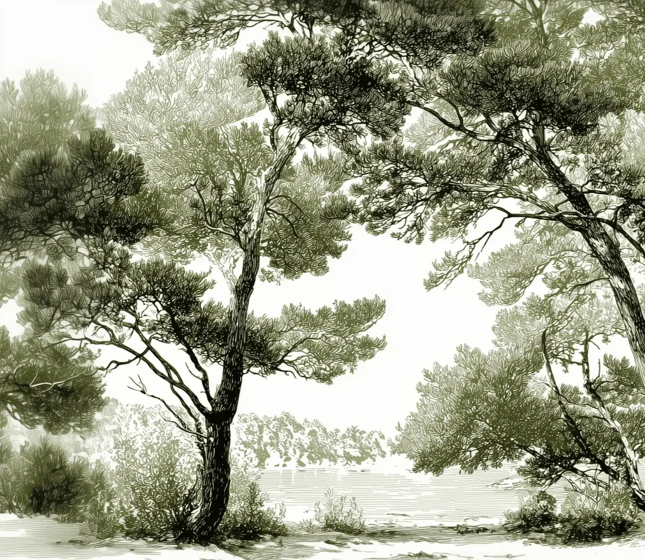 Les pins du lac - Papier peint panoramique forêt en nuances de vert - Illulart: Papier peint panoramique