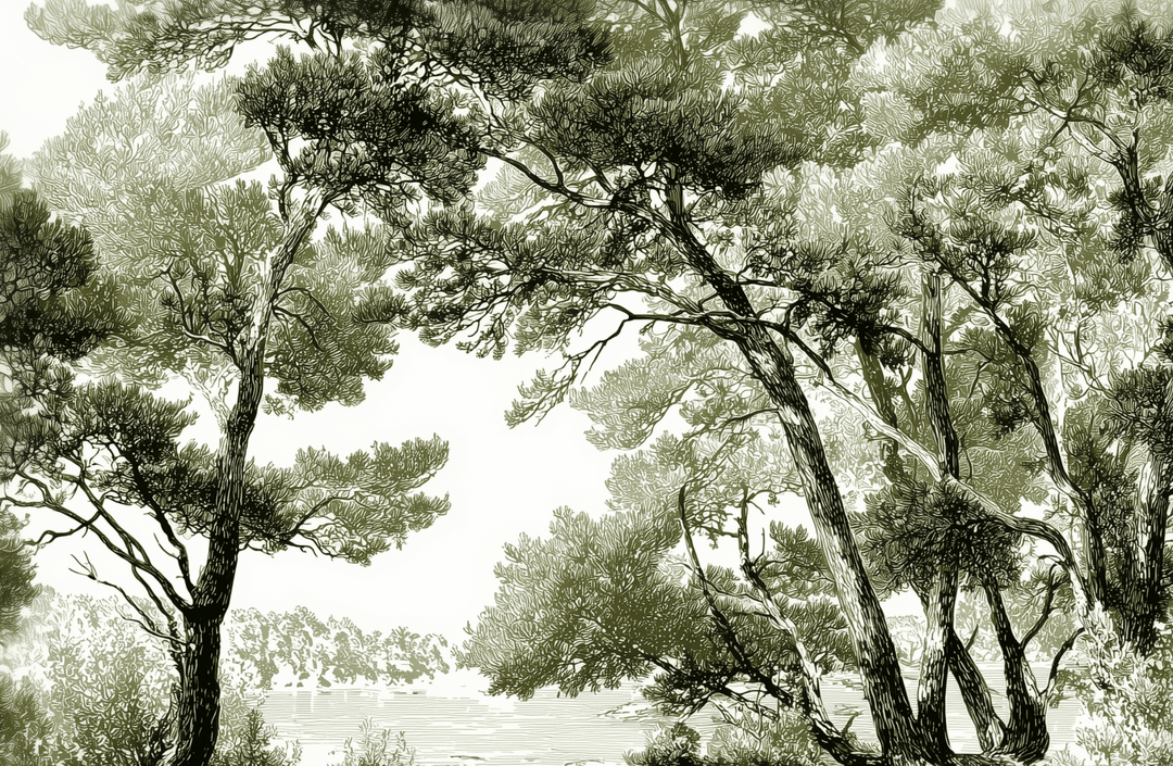 Les pins du lac - Papier peint panoramique forêt en nuances de vert - Illulart: Papier peint panoramique