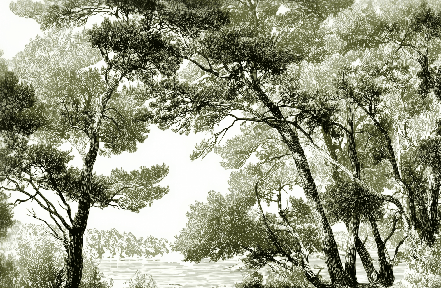 Les pins du lac - Papier peint panoramique forêt en nuances de vert - Illulart: Papier peint panoramique