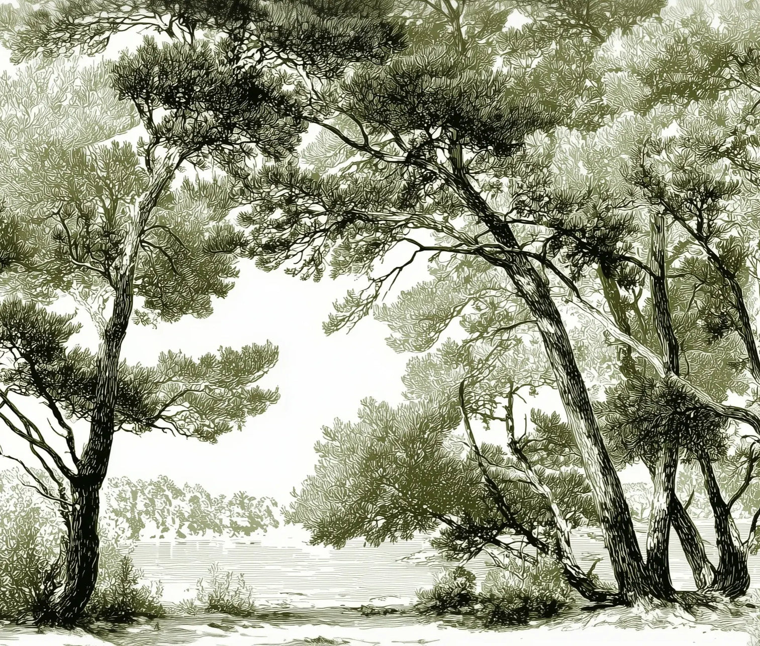 Les pins du lac - Papier peint panoramique forêt en nuances de vert - Illulart: Papier peint panoramique