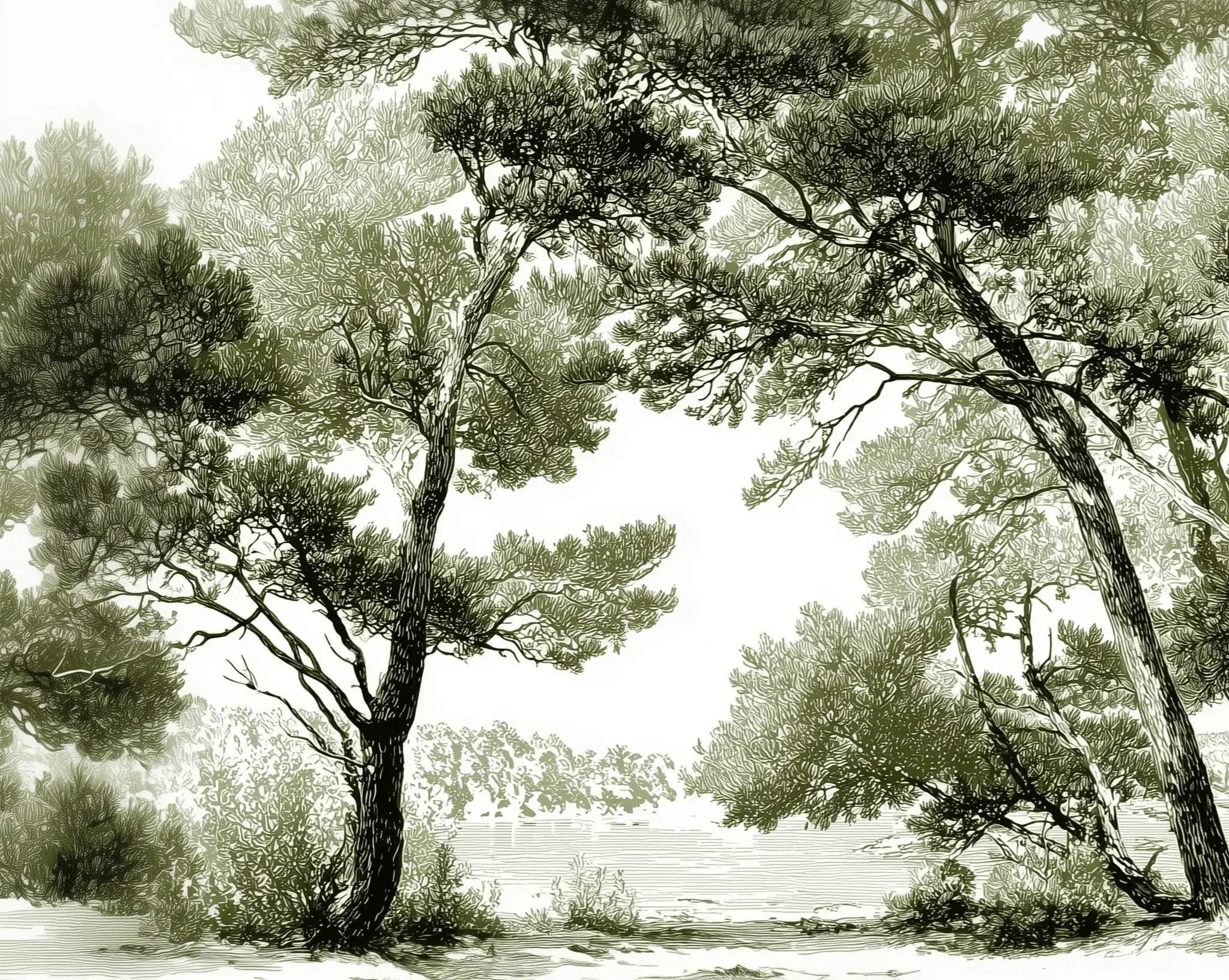 Les pins du lac - Papier peint panoramique forêt en nuances de vert