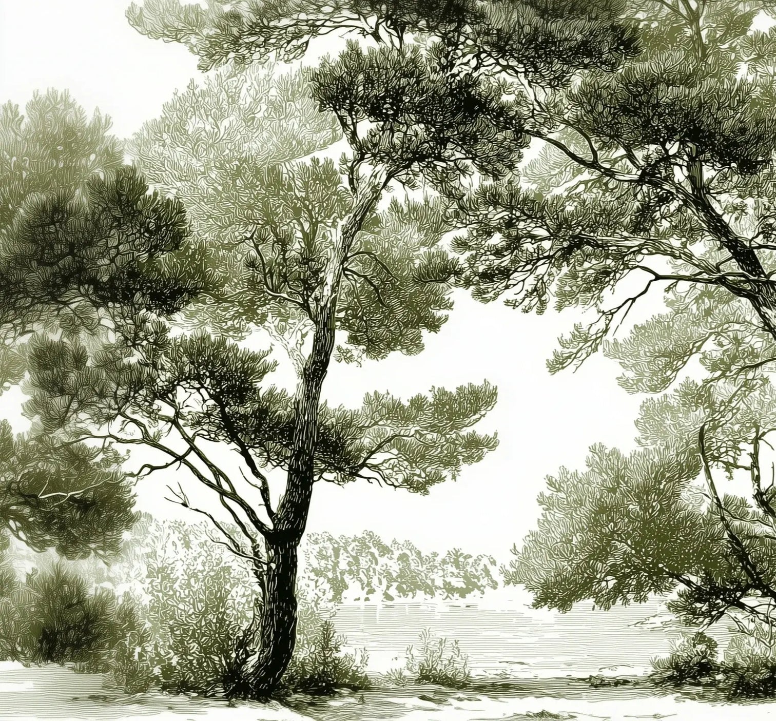 Les pins du lac - Papier peint panoramique forêt en nuances de vert - Illulart: Papier peint panoramique