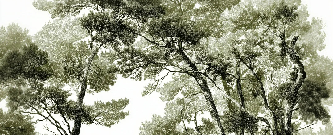 Les pins du lac - Papier peint panoramique forêt en nuances de vert - Illulart: Papier peint panoramique