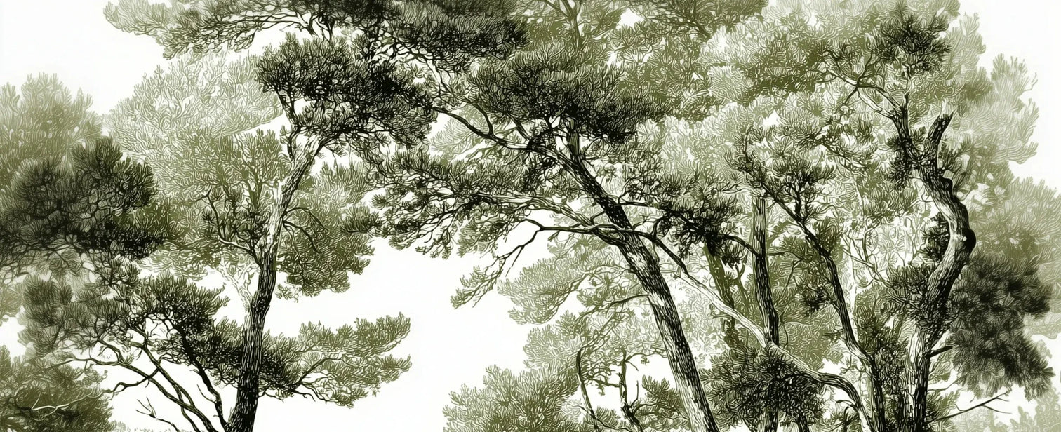 Les pins du lac - Papier peint panoramique forêt en nuances de vert - Illulart: Papier peint panoramique