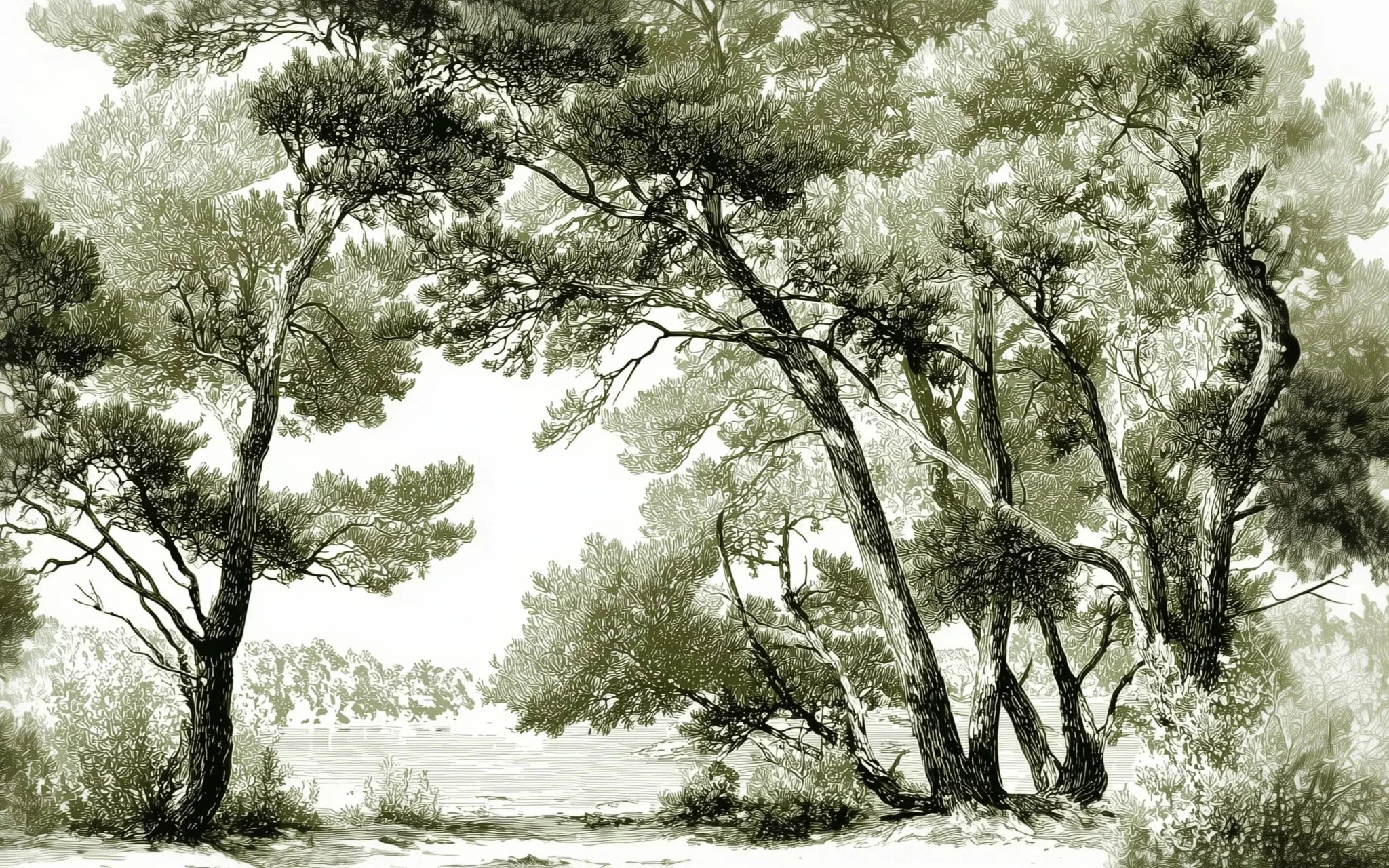 Les pins du lac - Papier peint panoramique forêt en nuances de vert