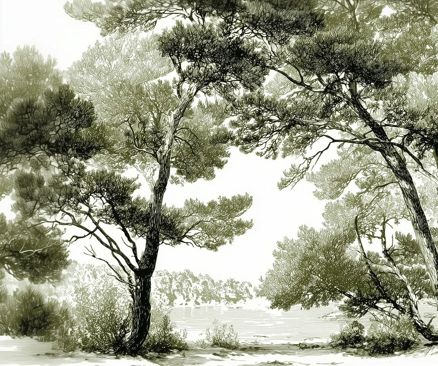 Les pins du lac - Papier peint panoramique forêt en nuances de vert - Illulart: Papier peint panoramique