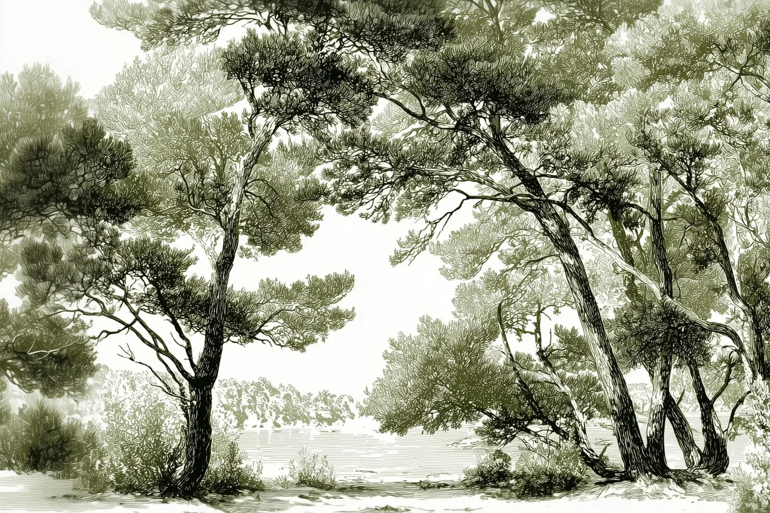 Les pins du lac - Papier peint panoramique forêt en nuances de vert - Illulart: Papier peint panoramique