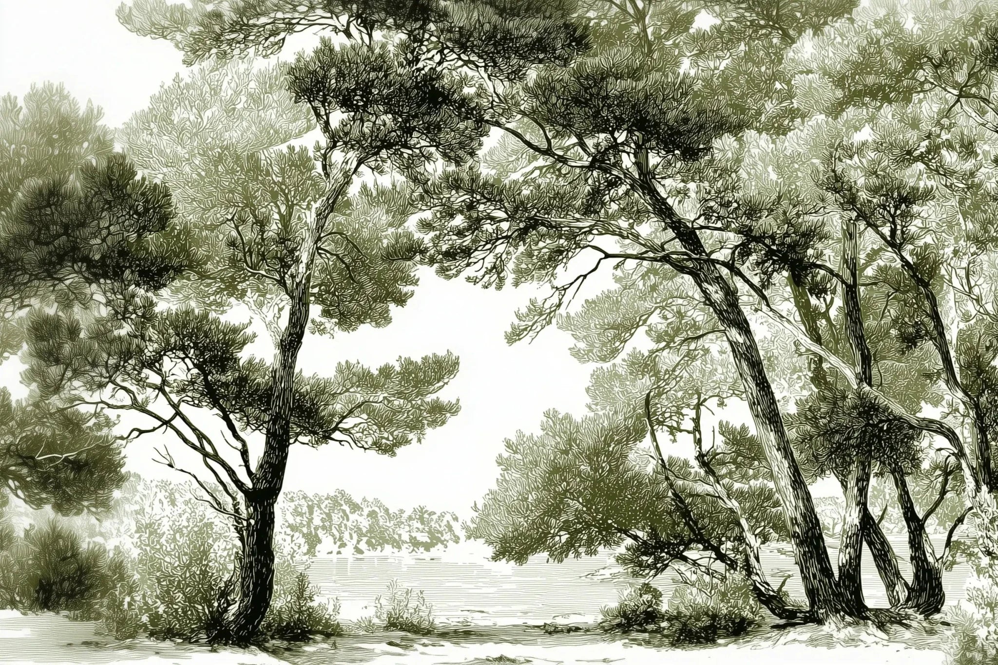 Les pins du lac - Papier peint panoramique forêt en nuances de vert