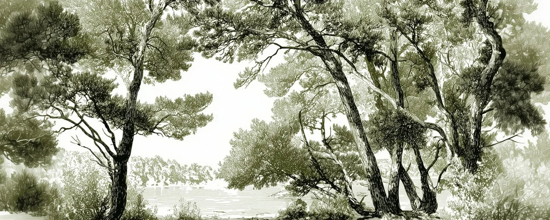 Les pins du lac - Papier peint panoramique forêt en nuances de vert - Illulart: Papier peint panoramique