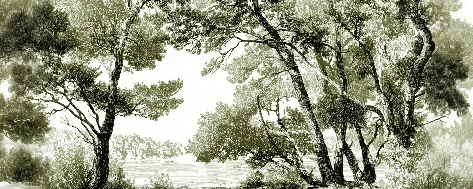 Les pins du lac - Papier peint panoramique forêt en nuances de vert - Illulart: Papier peint panoramique