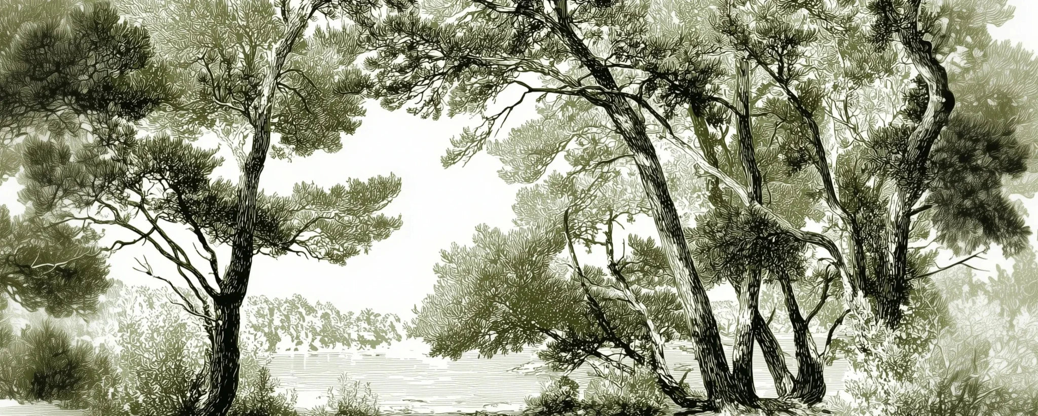 Les pins du lac - Papier peint panoramique forêt en nuances de vert