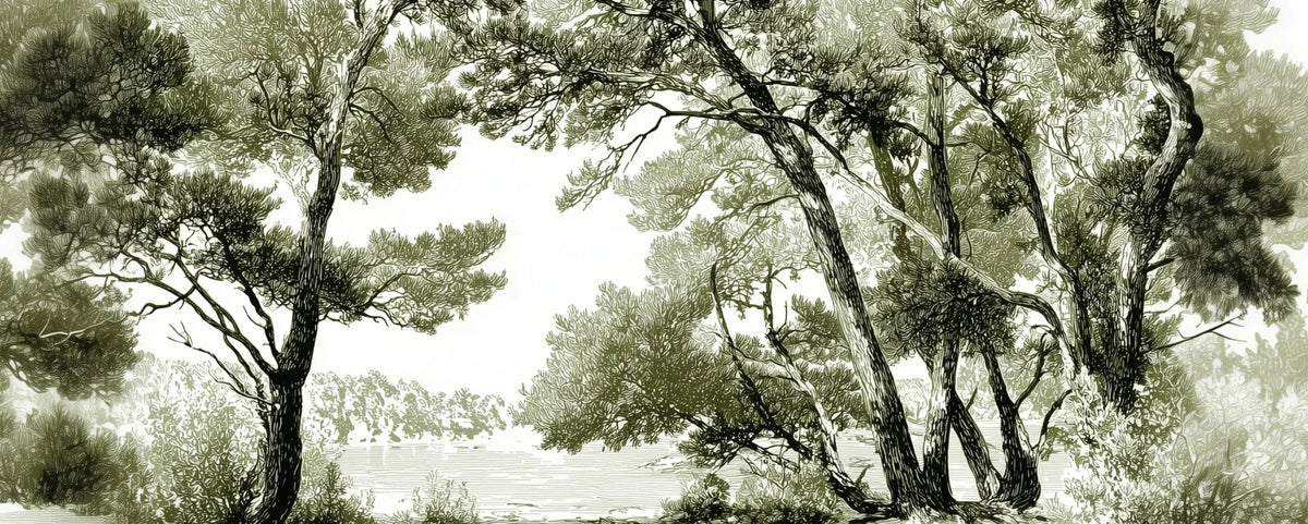Les pins du lac - Papier peint panoramique forêt en nuances de vert - Illulart: Papier peint panoramique