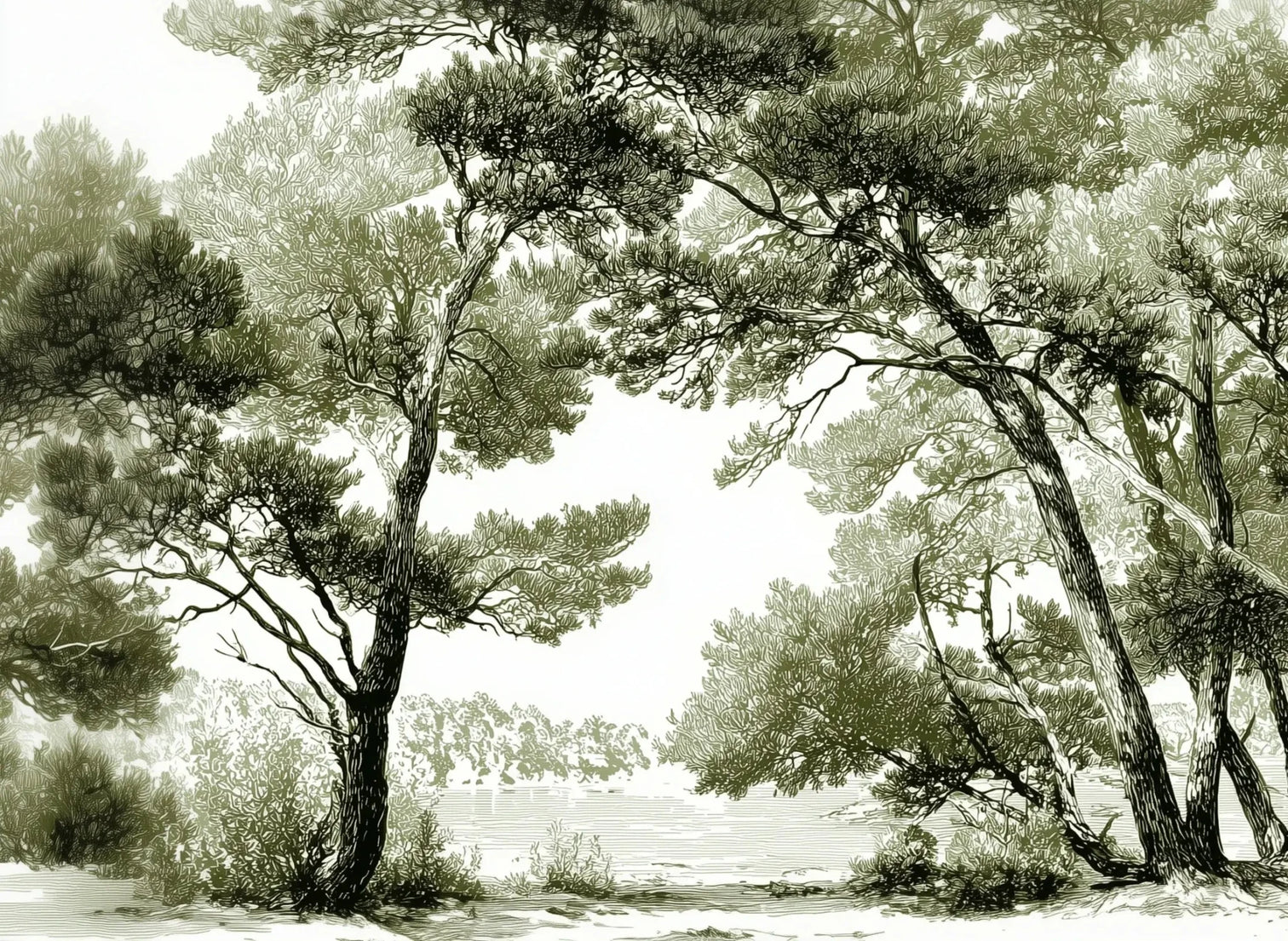 Les pins du lac - Papier peint panoramique forêt en nuances de vert - Illulart: Papier peint panoramique