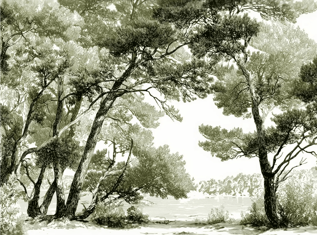 Les pins du lac - Papier peint panoramique forêt en nuances de vert - Illulart: Papier peint panoramique