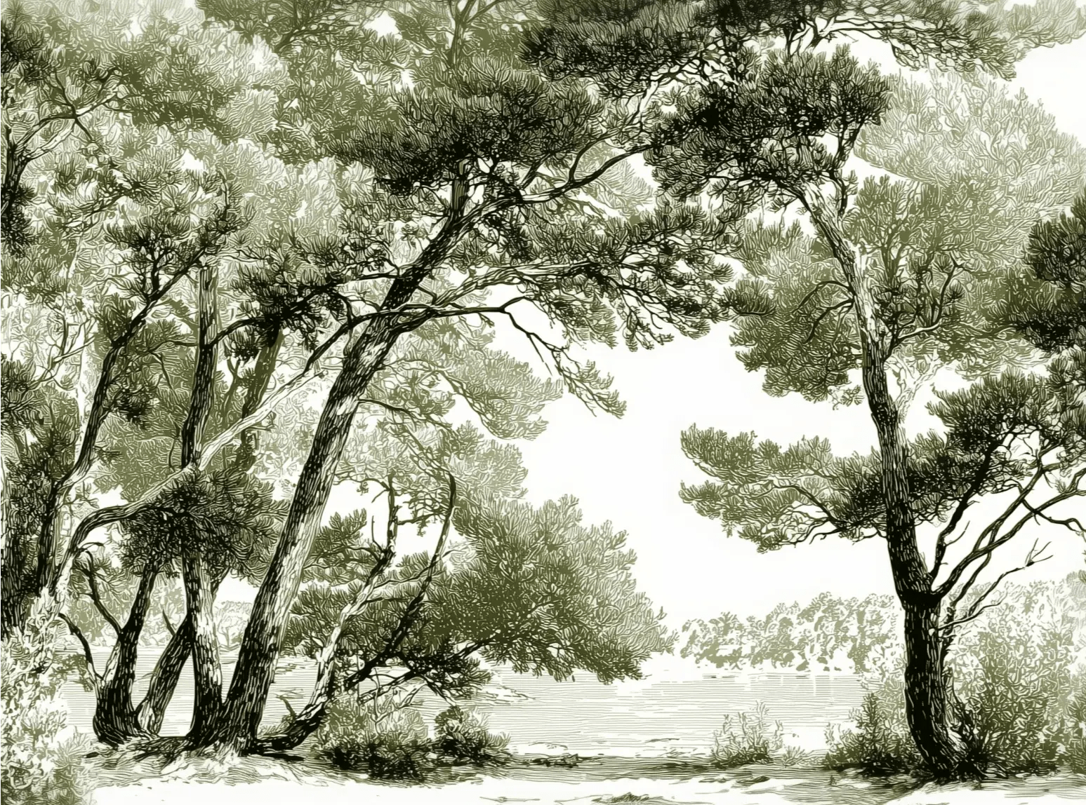 Les pins du lac - Papier peint panoramique forêt en nuances de vert - Illulart: Papier peint panoramique