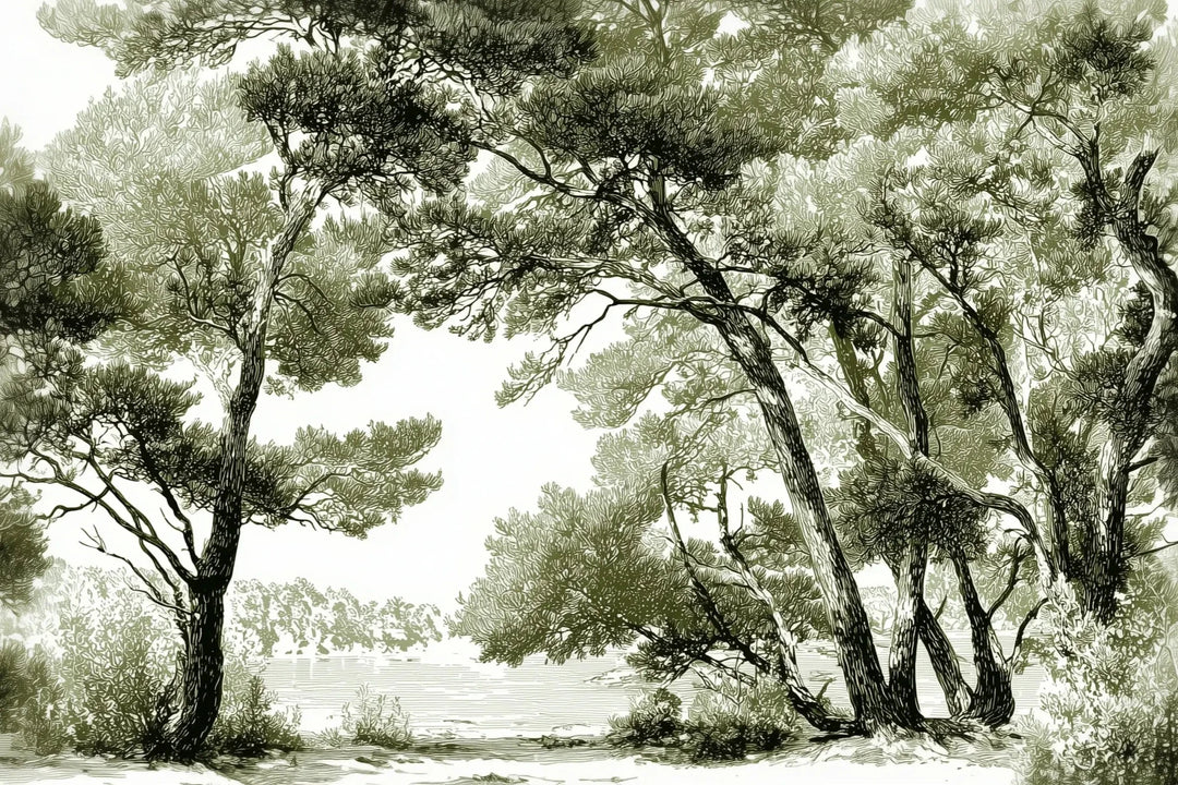 Les pins du lac - Papier peint panoramique forêt en nuances de vert - Illulart: Papier peint panoramique