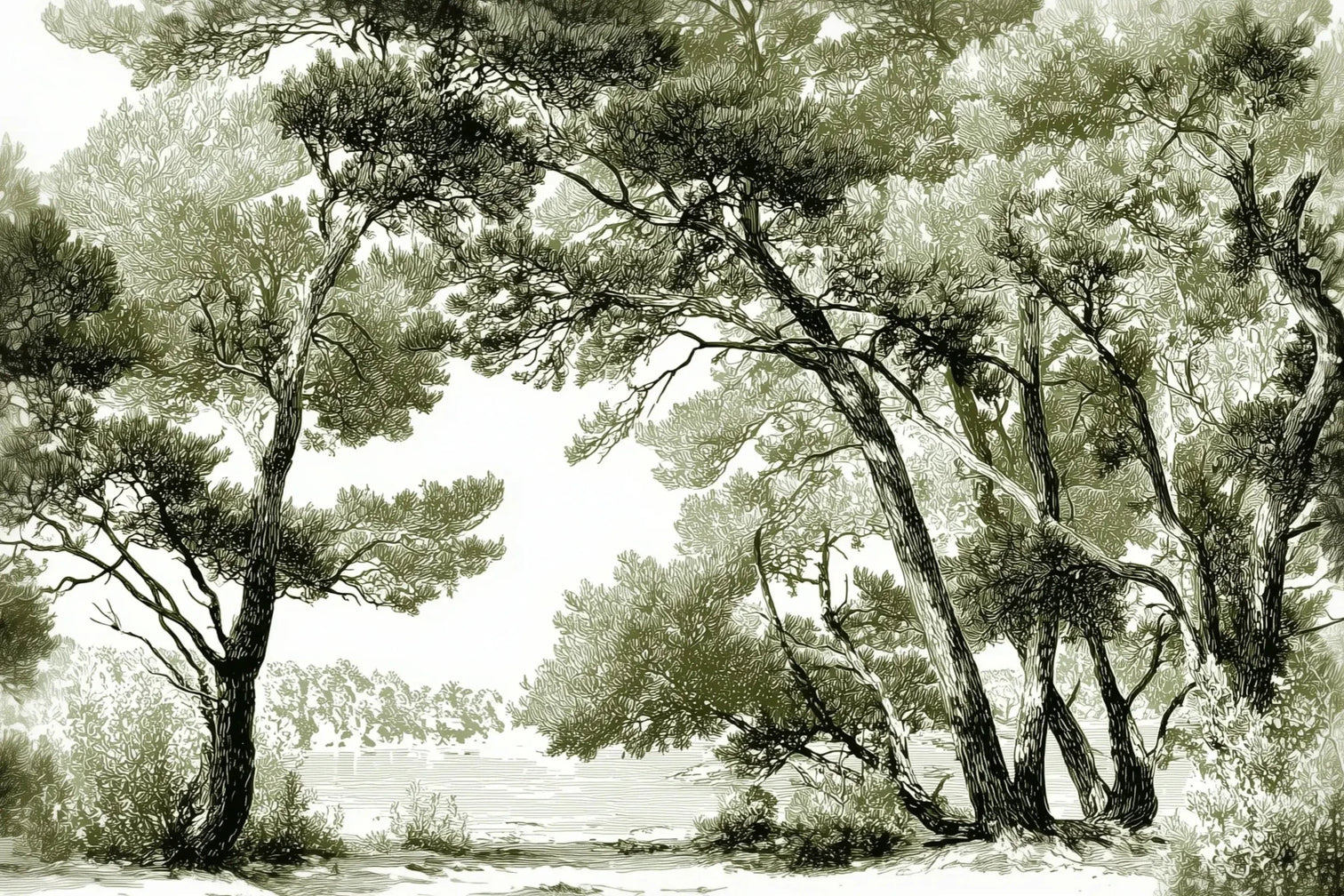 Les pins du lac - Papier peint panoramique forêt en nuances de vert - Illulart: Papier peint panoramique