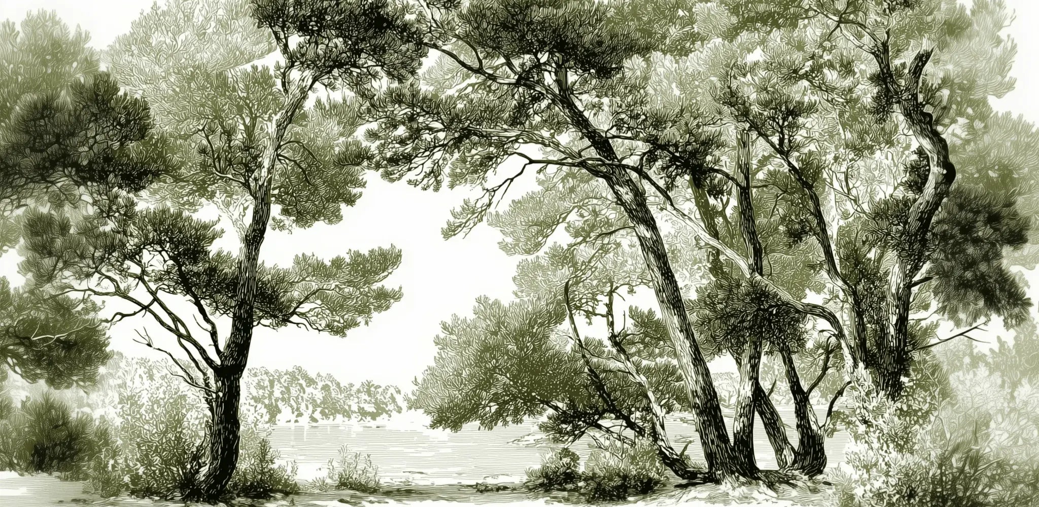 Les pins du lac - Papier peint panoramique forêt en nuances de vert - Illulart: Papier peint panoramique