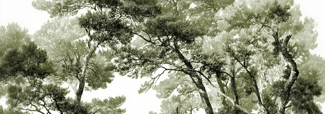 Les pins du lac - Papier peint panoramique forêt en nuances de vert - Illulart: Papier peint panoramique