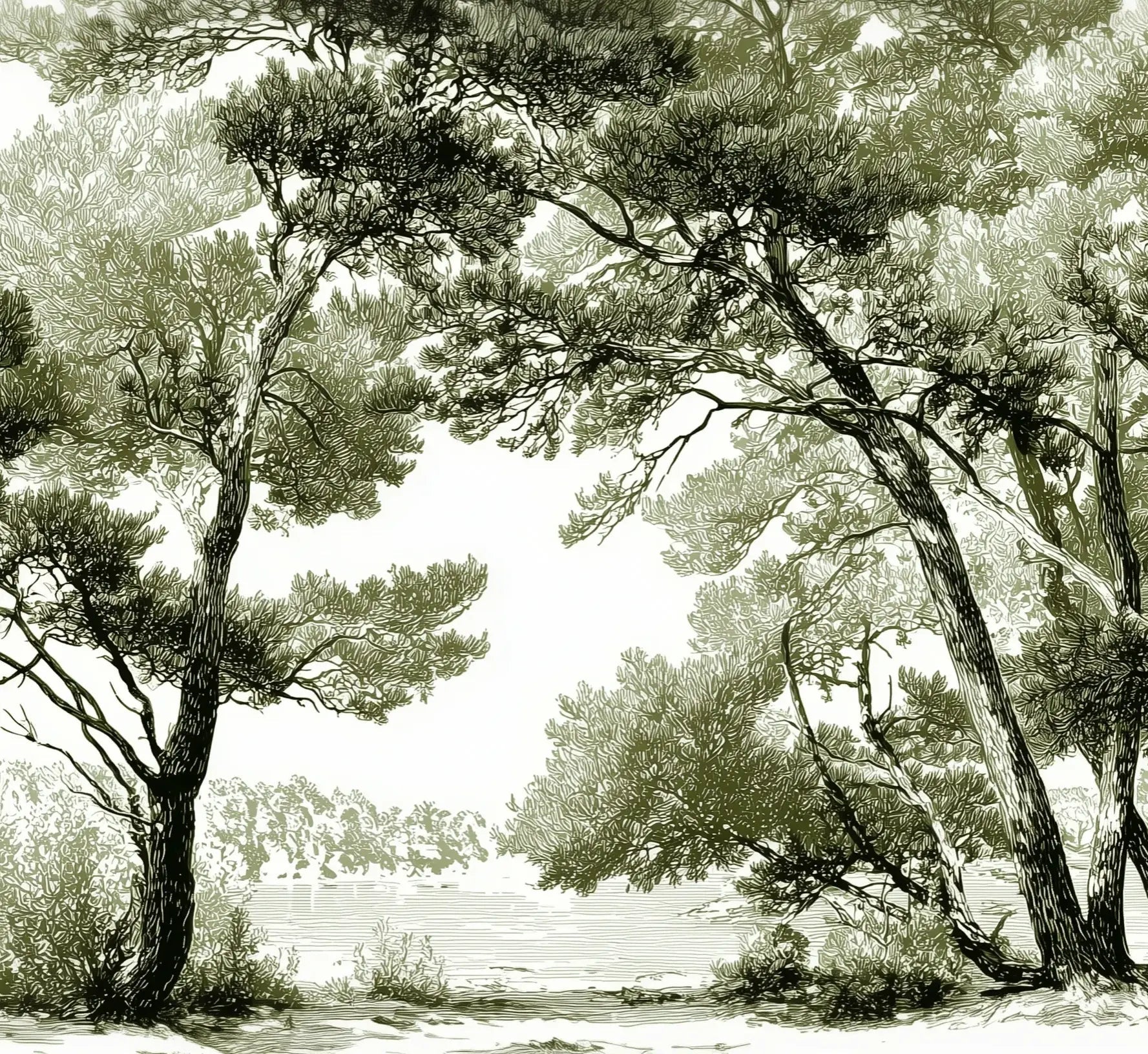 Les pins du lac - Papier peint panoramique forêt en nuances de vert