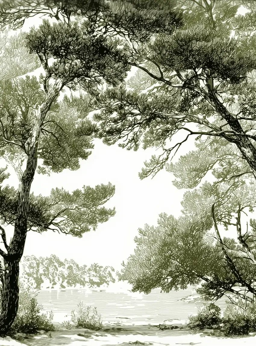 Les pins du lac - Papier peint panoramique forêt en nuances de vert - Illulart: Papier peint panoramique