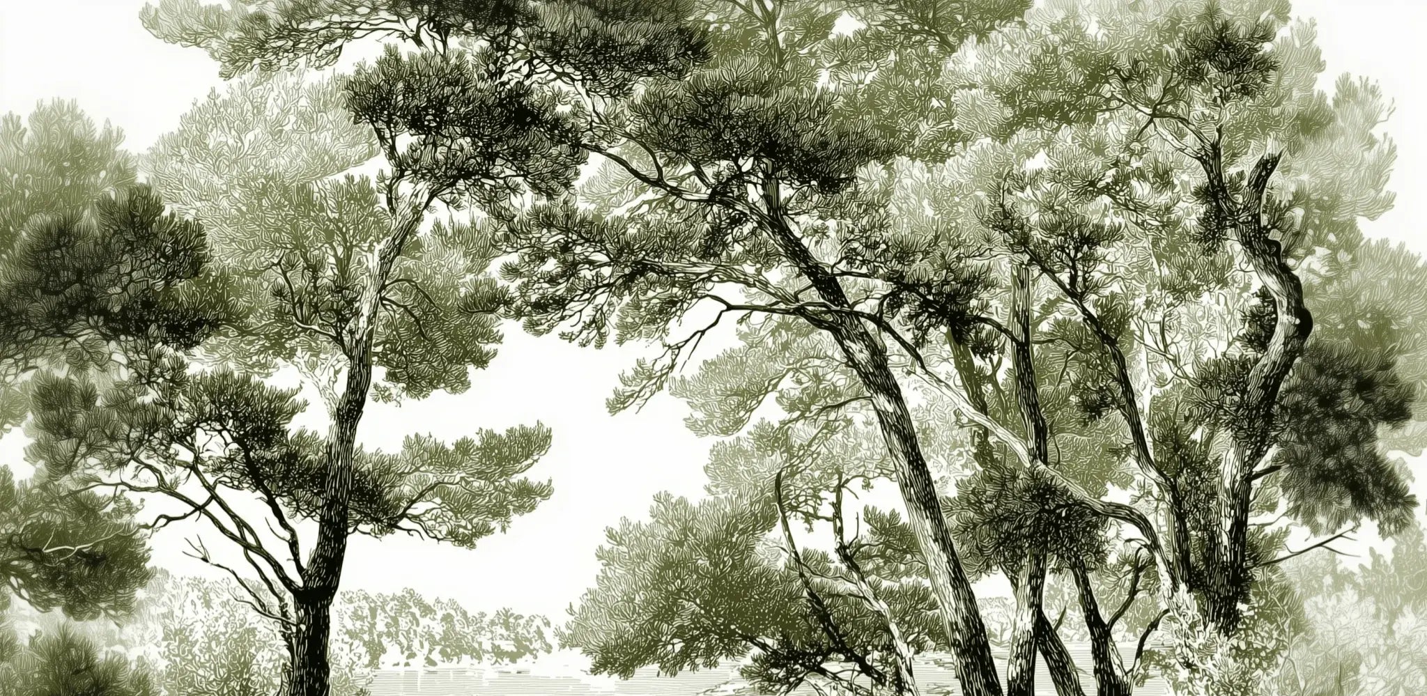 Les pins du lac - Papier peint panoramique forêt en nuances de vert - Illulart: Papier peint panoramique