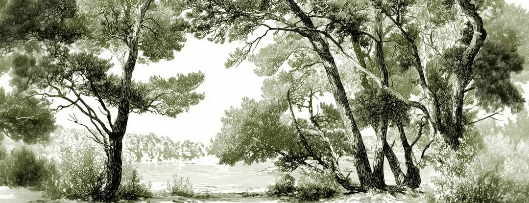 Les pins du lac - Papier peint panoramique forêt en nuances de vert - Illulart: Papier peint panoramique