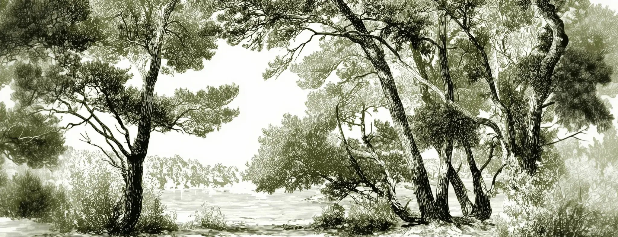 Les pins du lac - Papier peint panoramique forêt en nuances de vert - Illulart: Papier peint panoramique