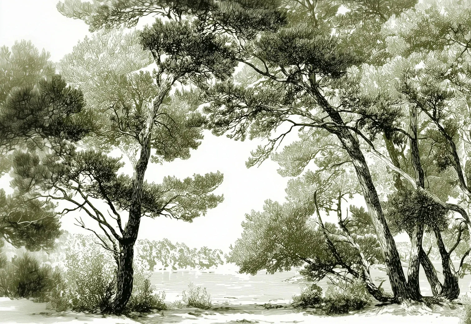 Les pins du lac - Papier peint panoramique forêt en nuances de vert - Illulart: Papier peint panoramique