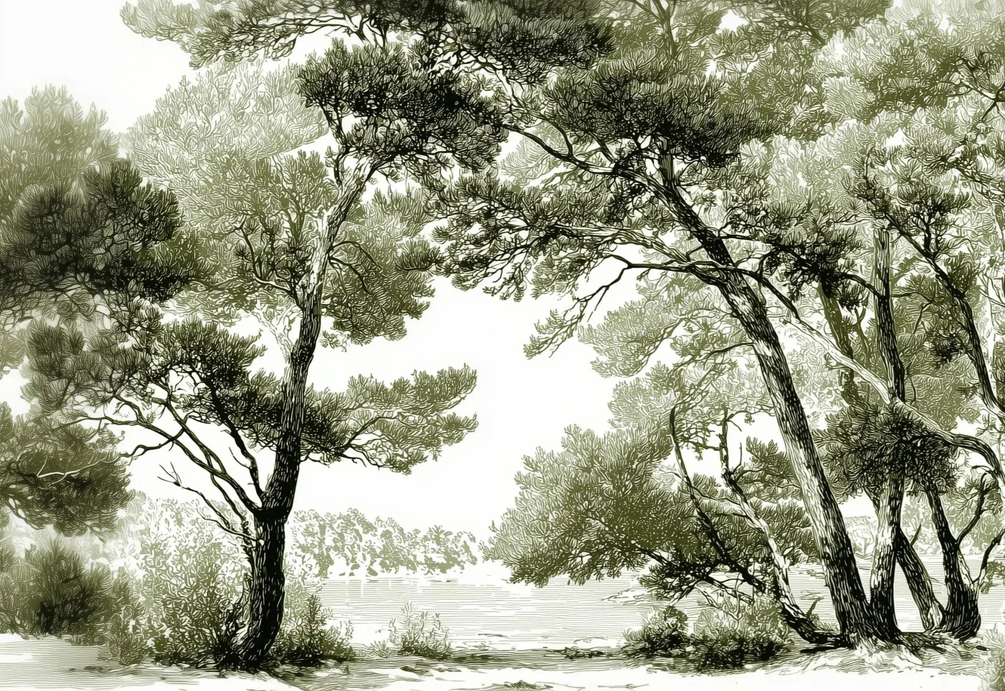 Les pins du lac - Papier peint panoramique forêt en nuances de vert