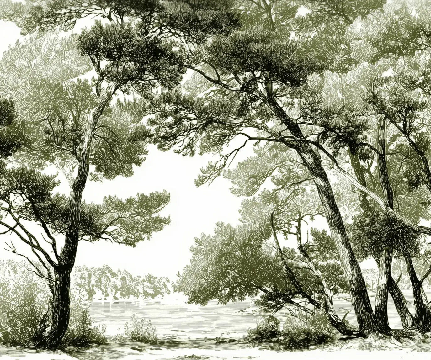 Les pins du lac - Papier peint panoramique forêt en nuances de vert - Illulart: Papier peint panoramique