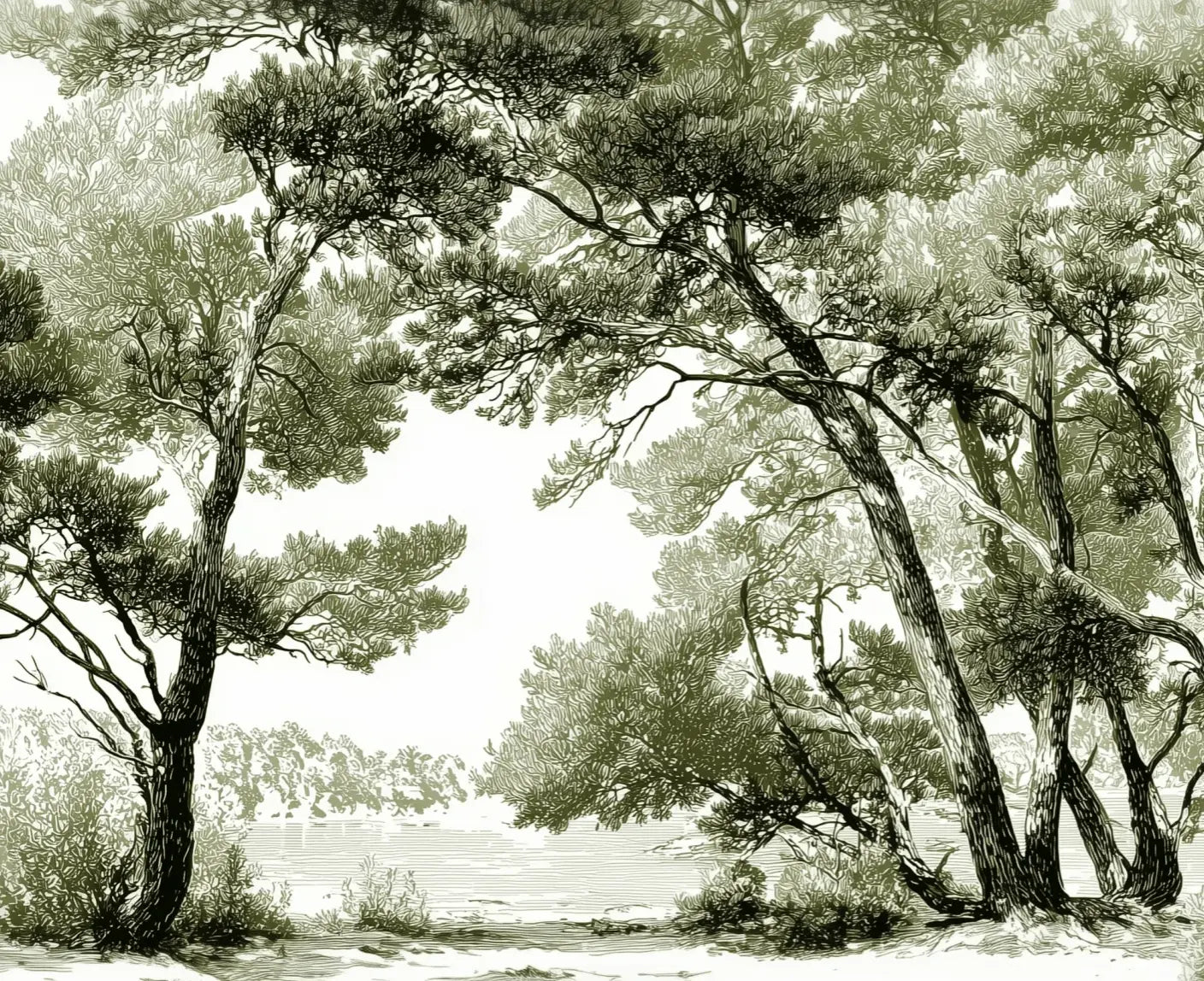 Les pins du lac - Papier peint panoramique forêt en nuances de vert - Illulart: Papier peint panoramique