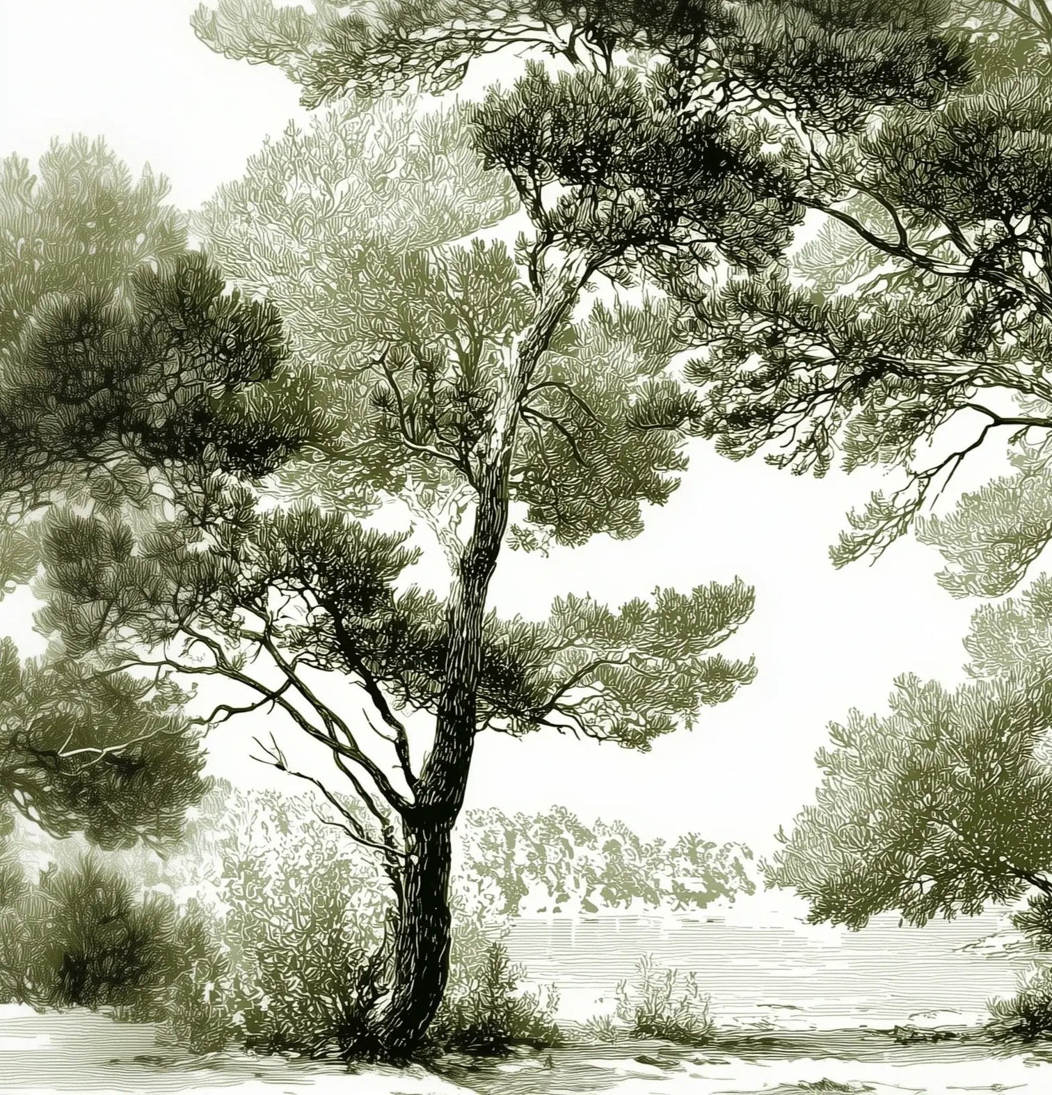 Les pins du lac - Papier peint panoramique forêt en nuances de vert - Illulart: Papier peint panoramique